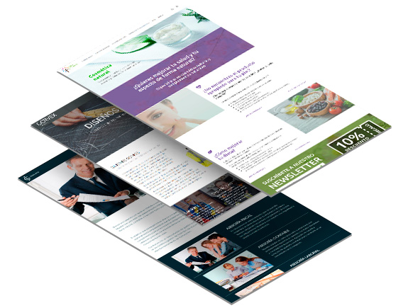 Diseño y desarrollo web logicsh